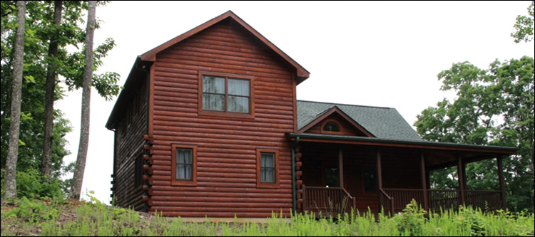 Professional Log Home Borate Application  Davidson County,  North Carolina